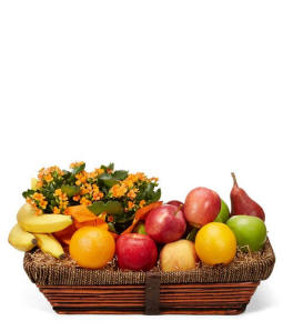 Fruit & Plant Gift Basket